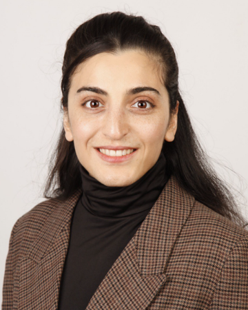  Parisa Mohammadi Khanaman