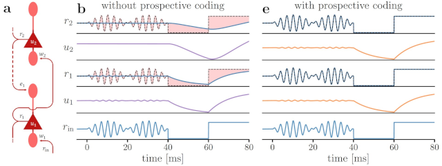 Fast information processing with slow neurons