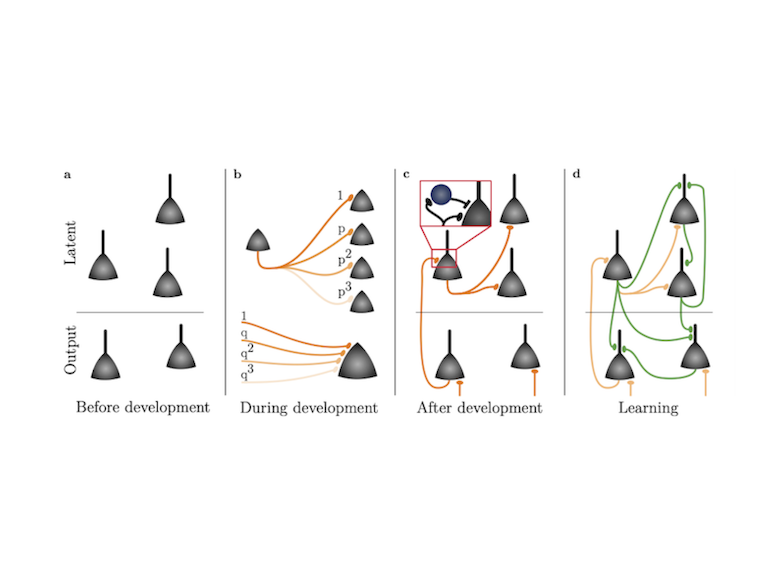 Construction of an ELiSe circuit.