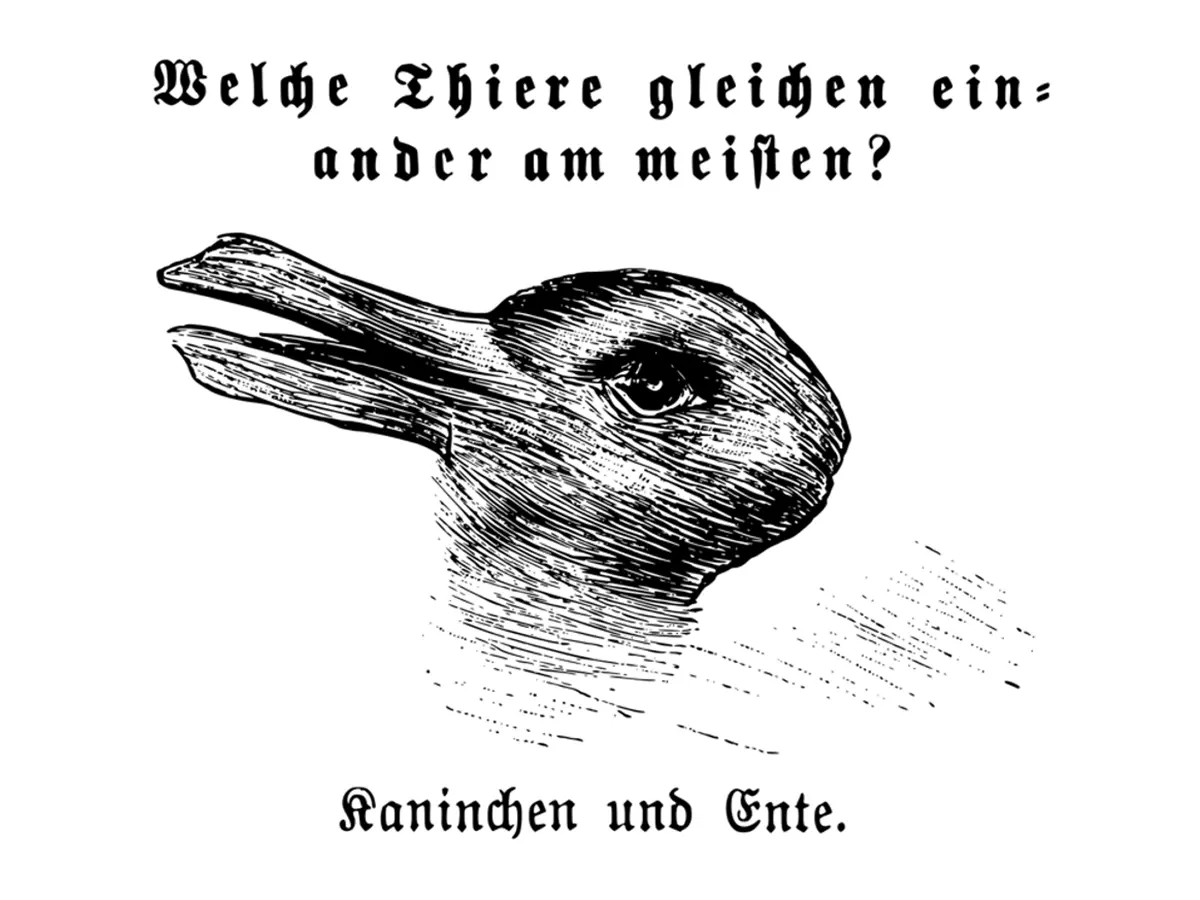 rabbit-duck illusion