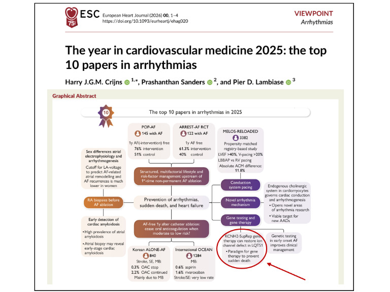SQTS gene therapy manuscript recognized as Eur Heart Journal Top 10 Papers in Arrhythmias 2025