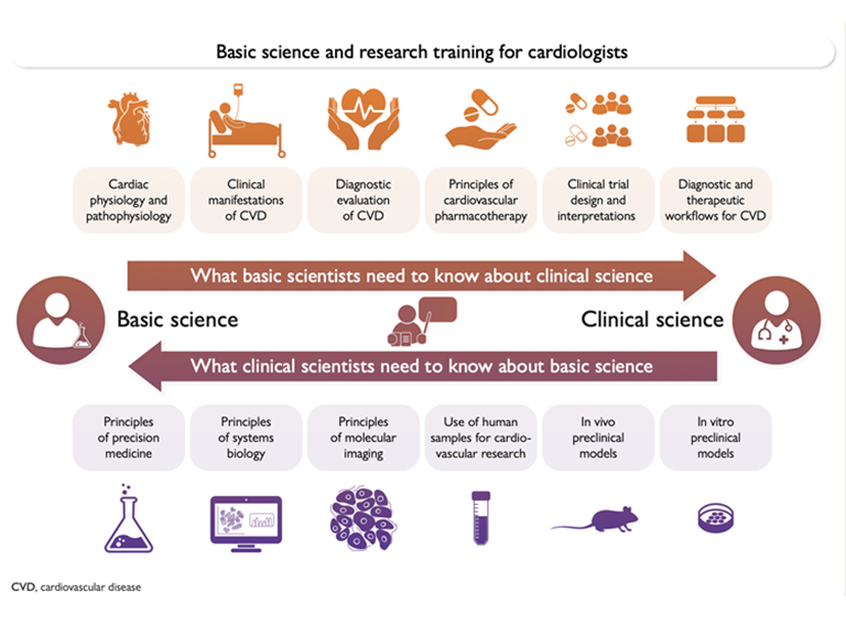 Importance of basic science and research training for the future generation of cardiologists