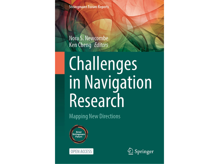 The Role of Motivation and Emotion in the Hippocampal Navigation System