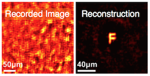 scattering imaging